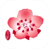 China Airlines