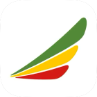 Ethiopian Airlines