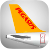 pegasus_airlines Bronze