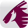 Qatar Airways