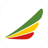 Ethiopian Airlines