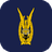 Indonesian Air Force