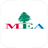 MEA Middle East Airlines
