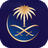 Saudi Arabian Airlines (opb Eagle Aviation France)