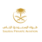 Saudi Private Aviation