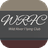 Wild River Flying Club