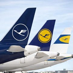 Airline profile image