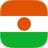 Niger icon