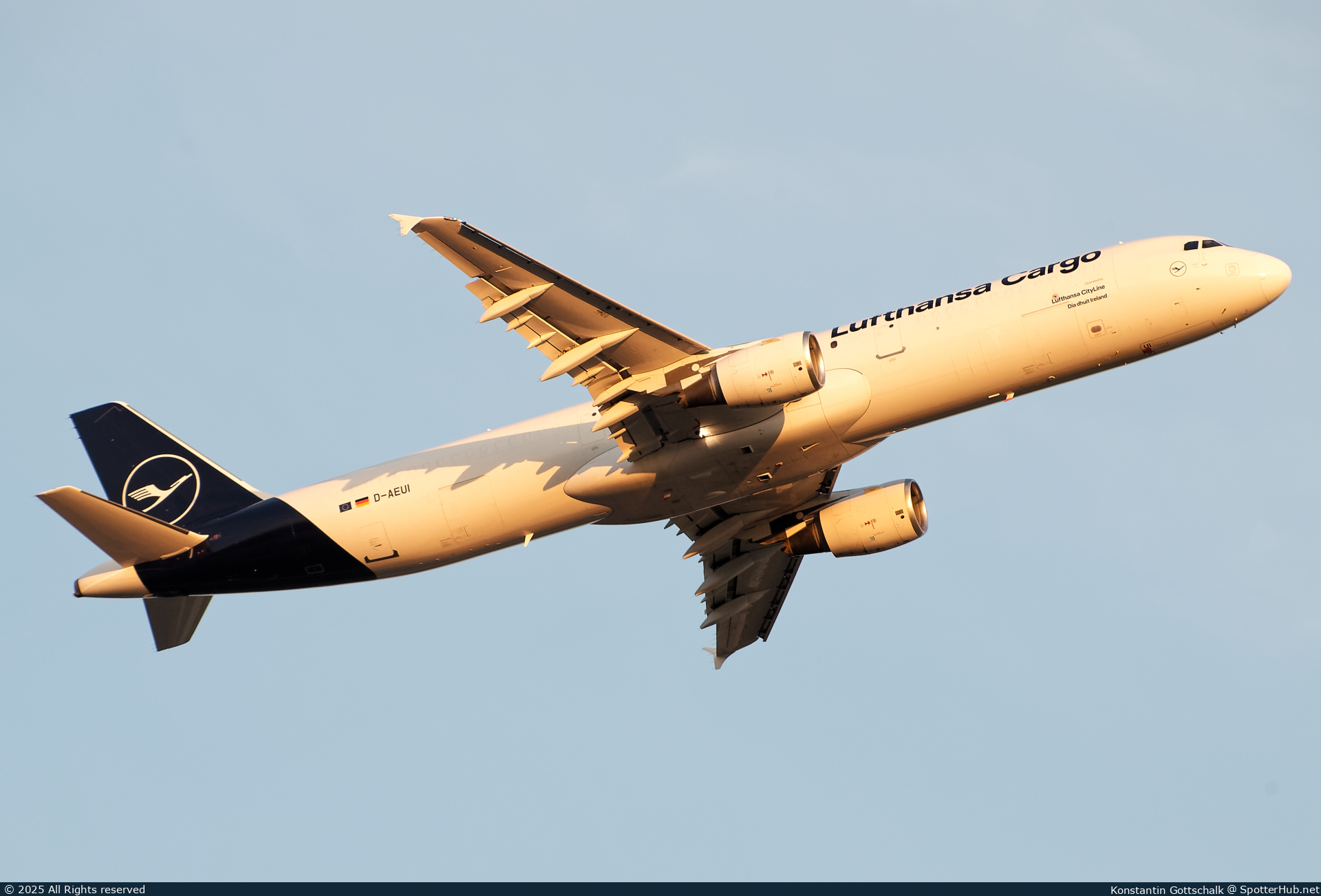Photo of D-AEUI - Airbus A321-211(P2F) operated by Lufthansa Cargo (opb Lufthansa CityLine)