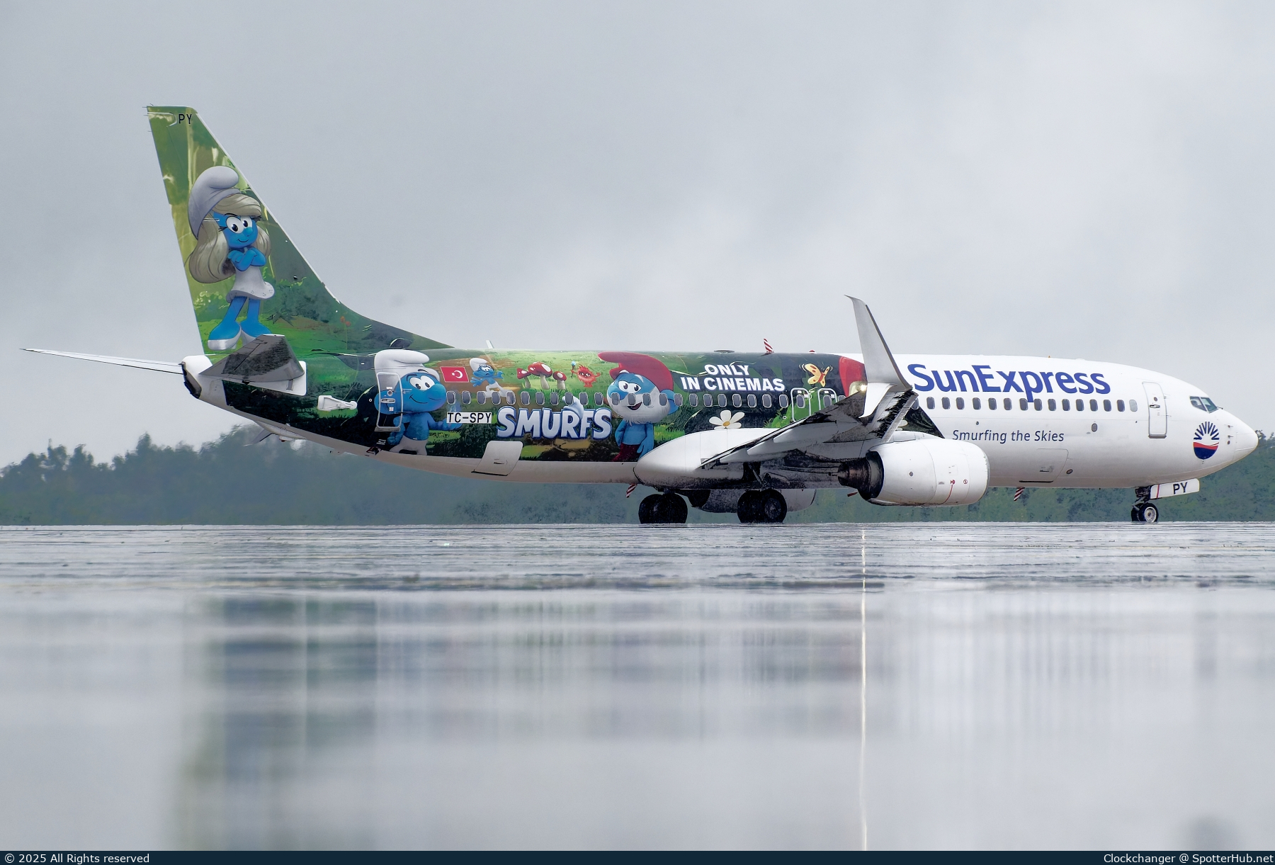 Full size image