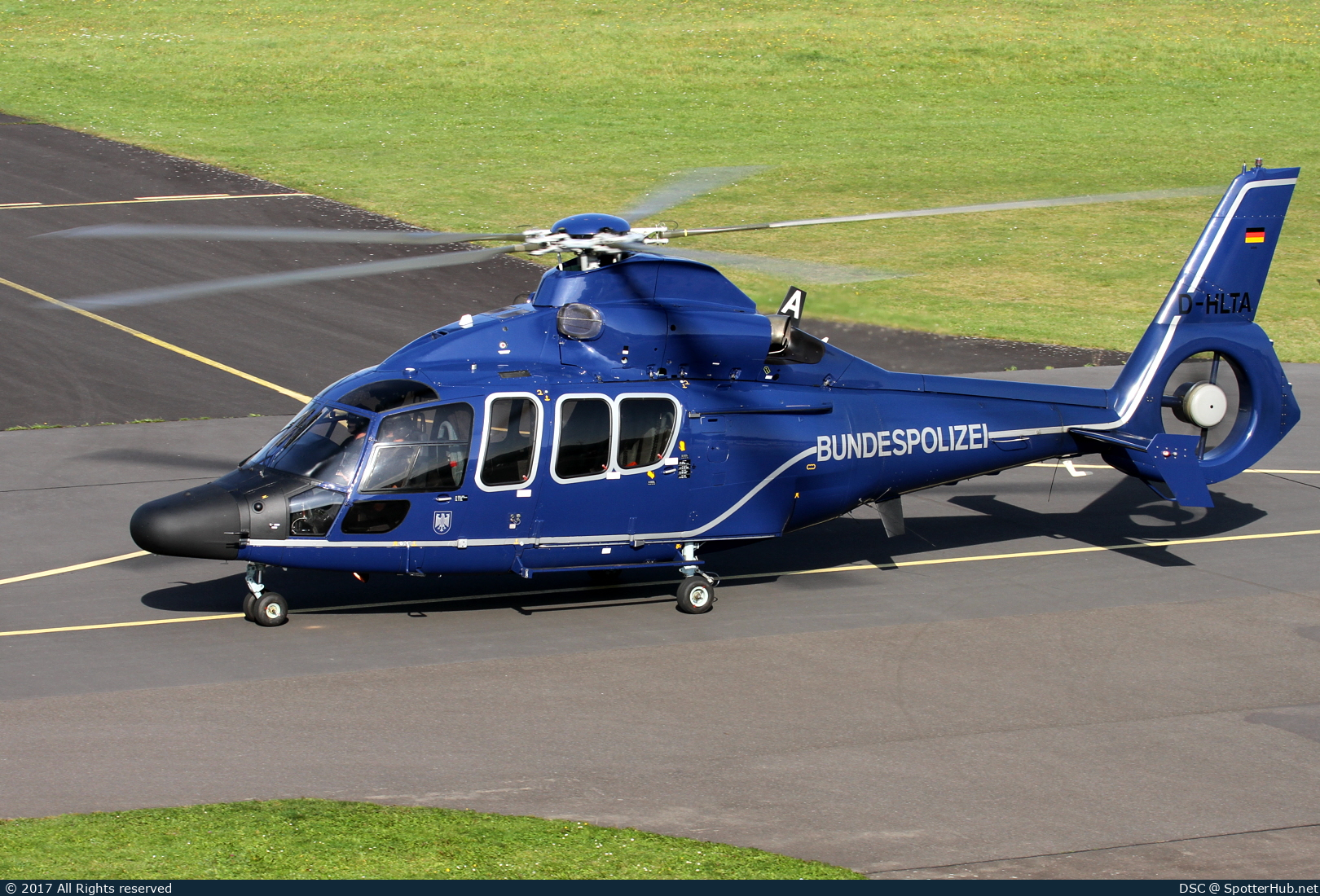 Photo of D-HLTA - Eurocopter EC155B Dauphin operated by German Police - Bundespolizei
