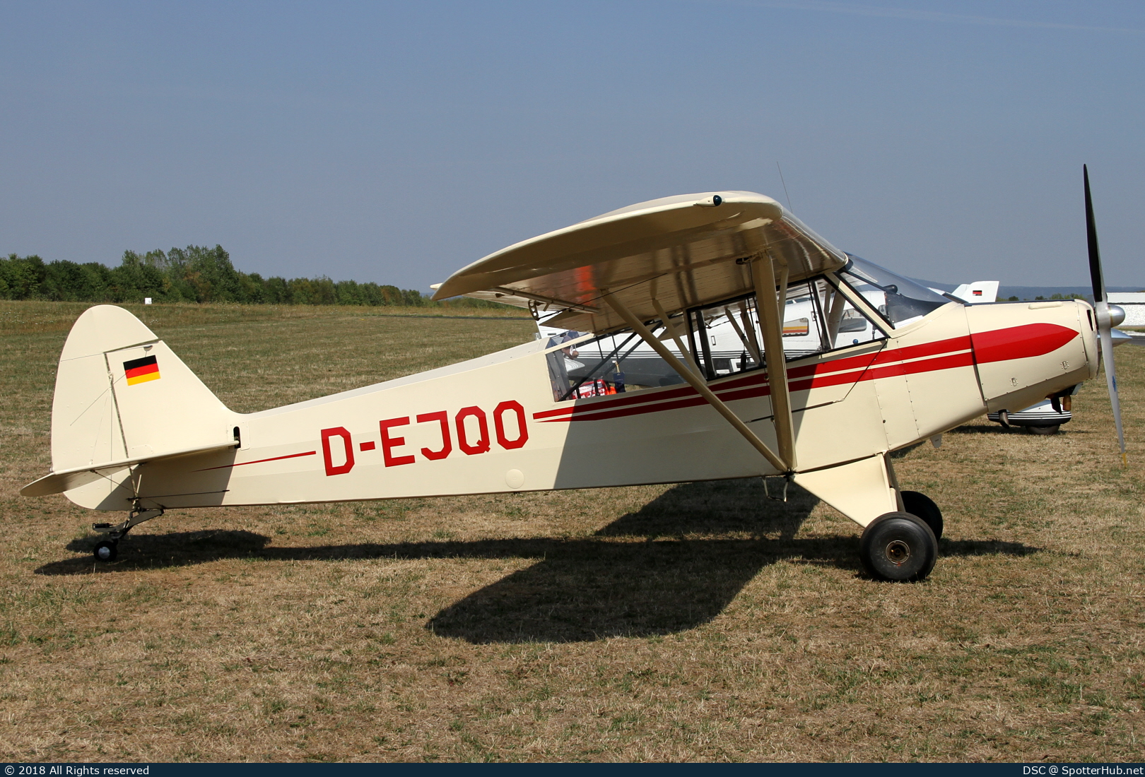 Photo of D-EJQO - Piper PA-18-95 Super Cub operated by Private