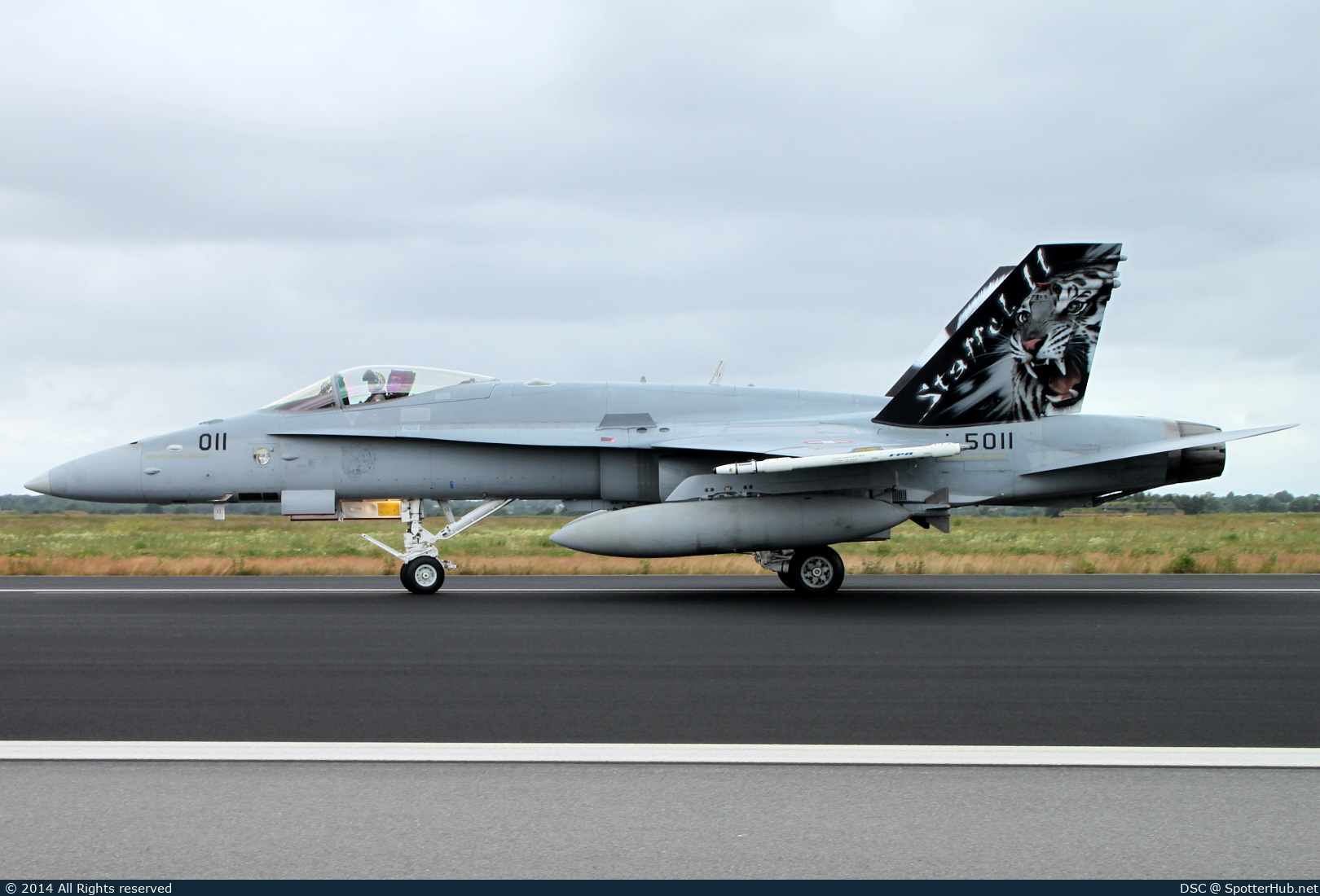Photo of J-5011 - McDonnell Douglas F/A-18C Hornet operated by Swiss Air Force