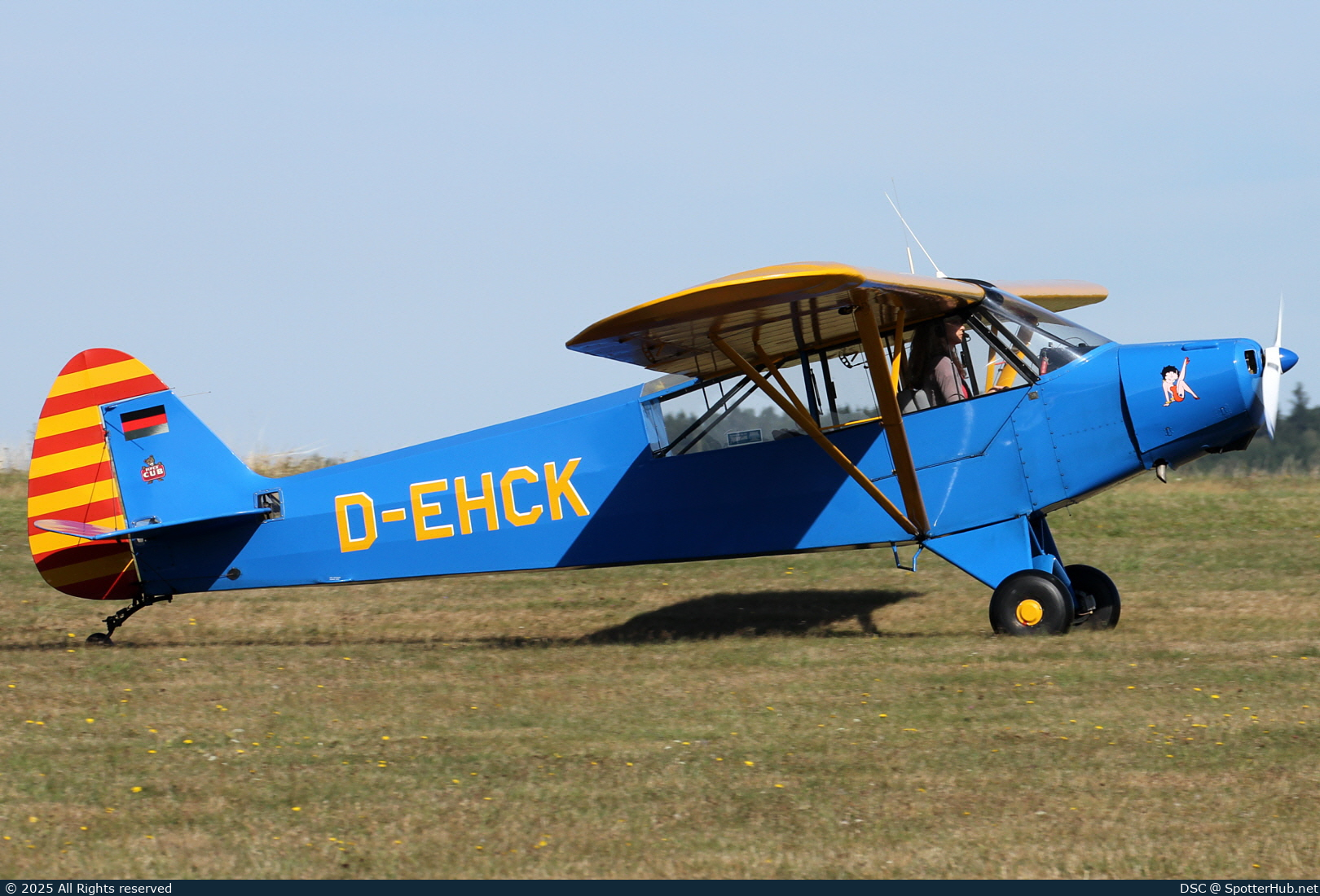 Photo of D-EHCK - Piper PA-18-95 Super Cub operated by Private