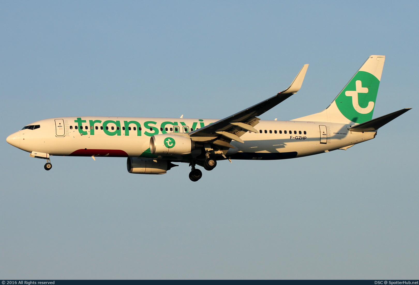 Photo of F-GZHP - Boeing 737-8K2 operated by Transavia France