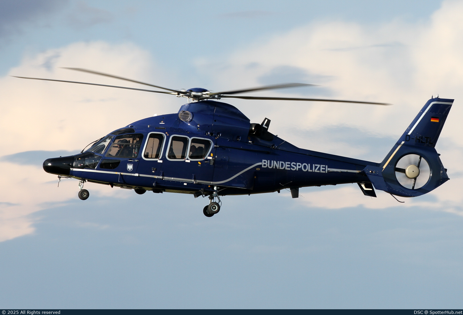 Full size image