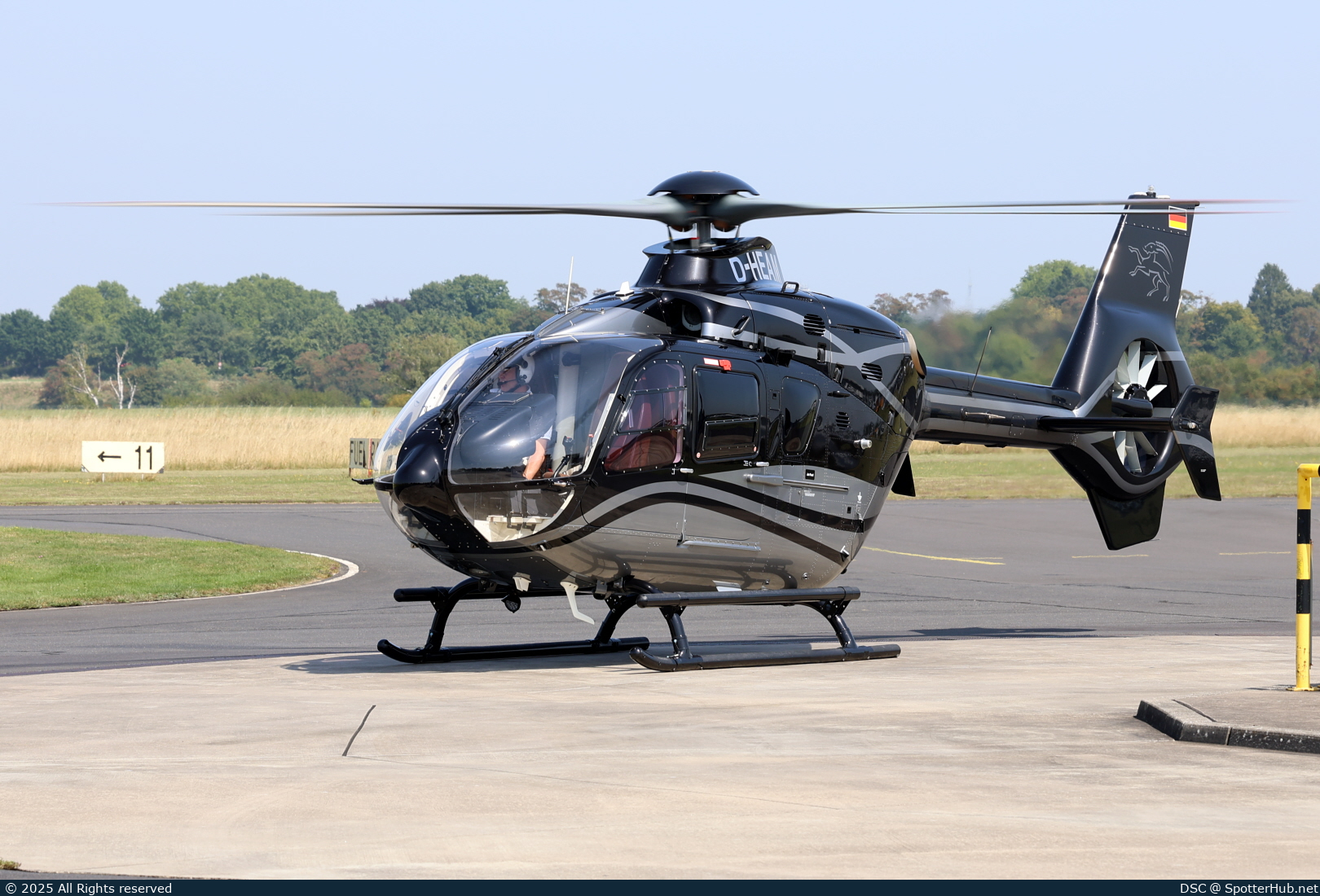 Full size image