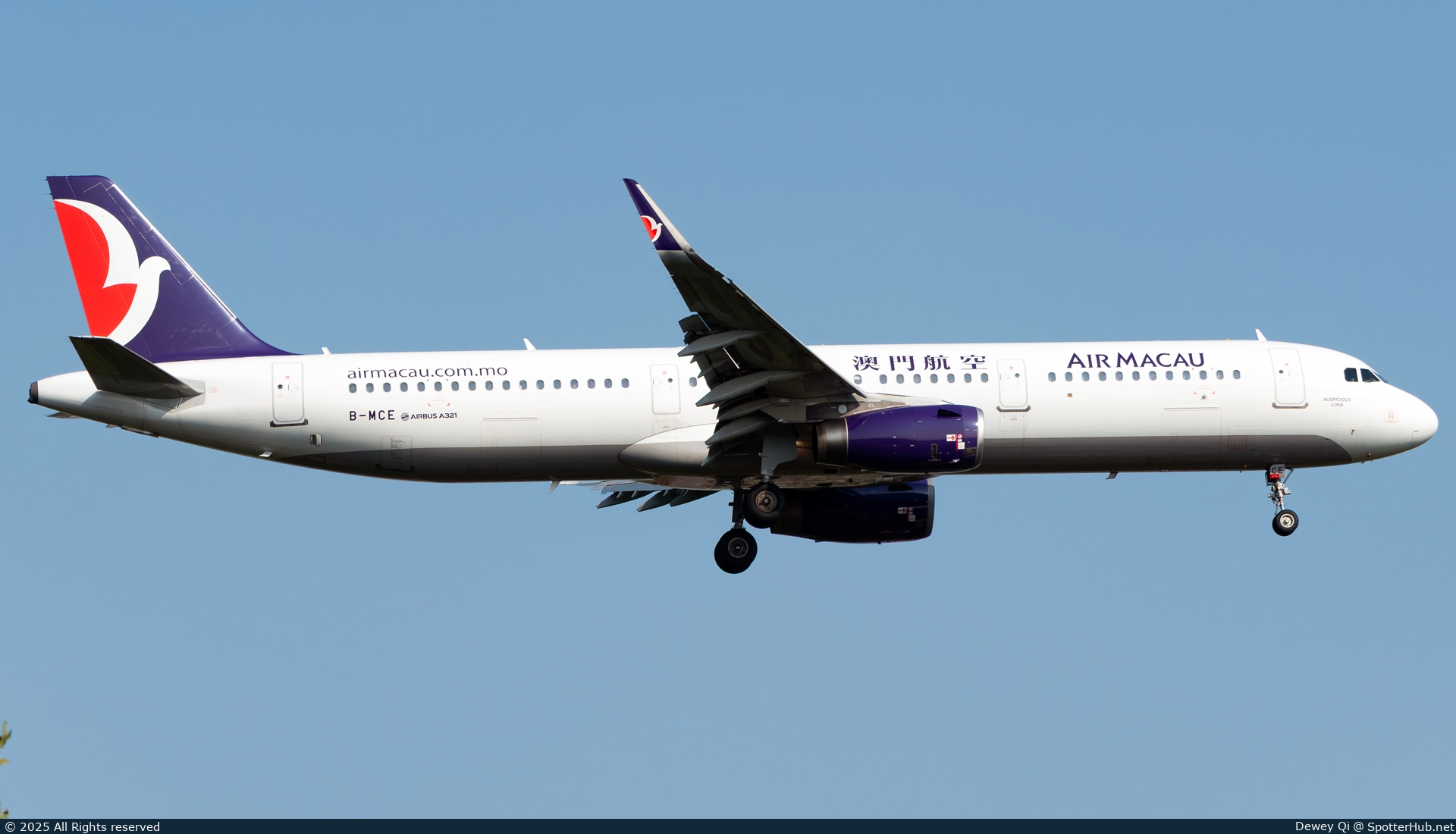 Photo of B-MCE - Airbus A321-231 operated by Air Macau