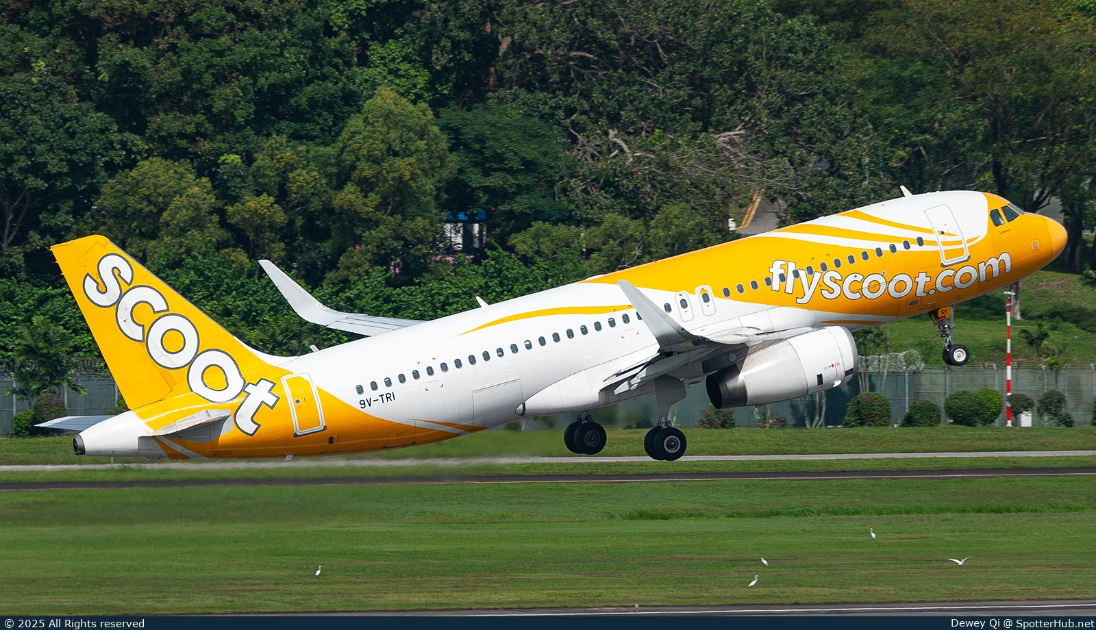 Photo of 9V-TRI - Airbus A320-232 operated by Scoot