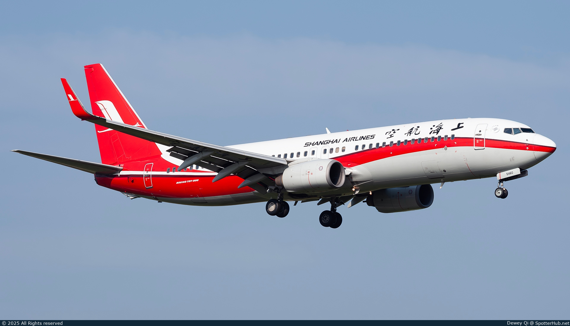Photo of B-5460 - Boeing 737-86D operated by Shanghai Airlines