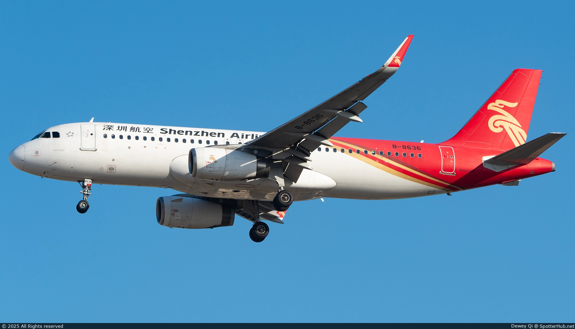 Photo of B-8636 - Airbus A320-232 operated by Shenzhen Airlines
