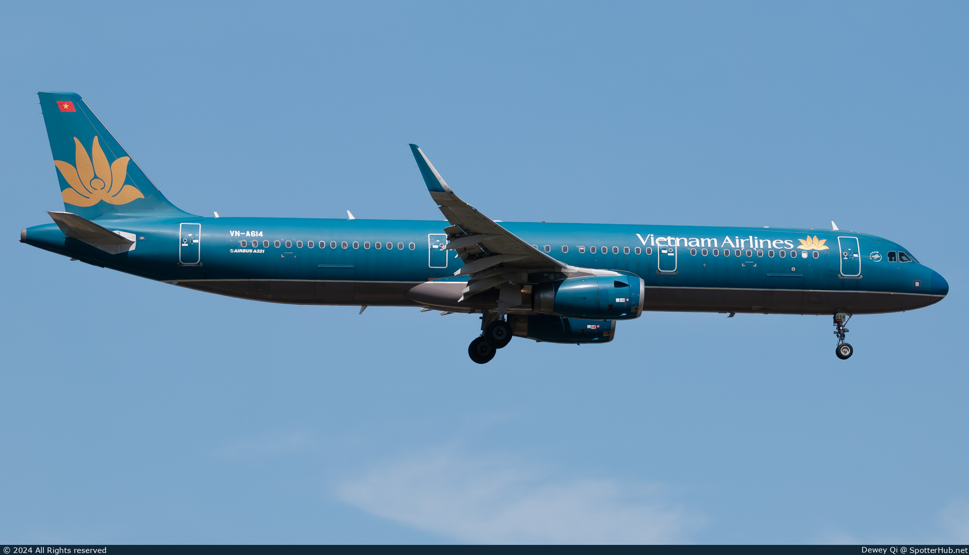 Photo of VN-A614 - Airbus A321-231 operated by Vietnam Airlines