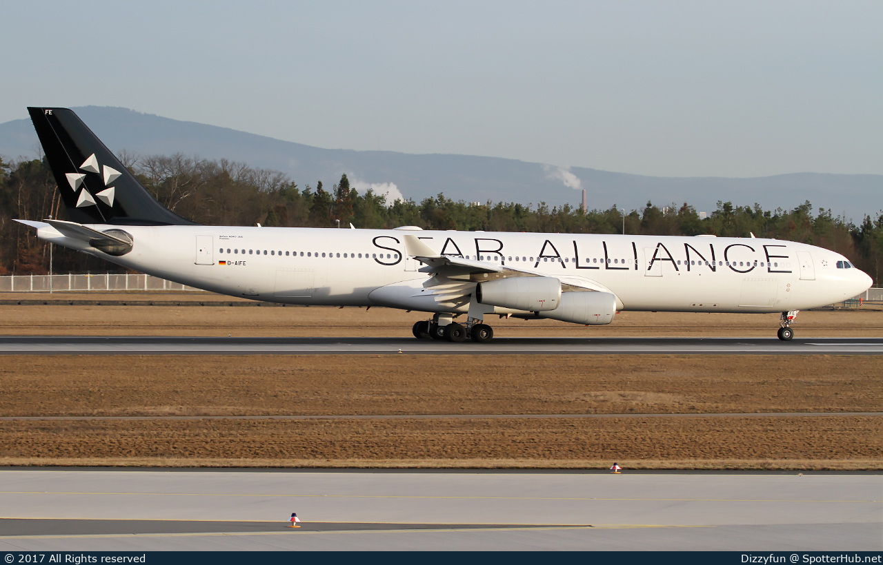 Photo of D-AIFE - Airbus A340-313 operated by Lufthansa CityLine
