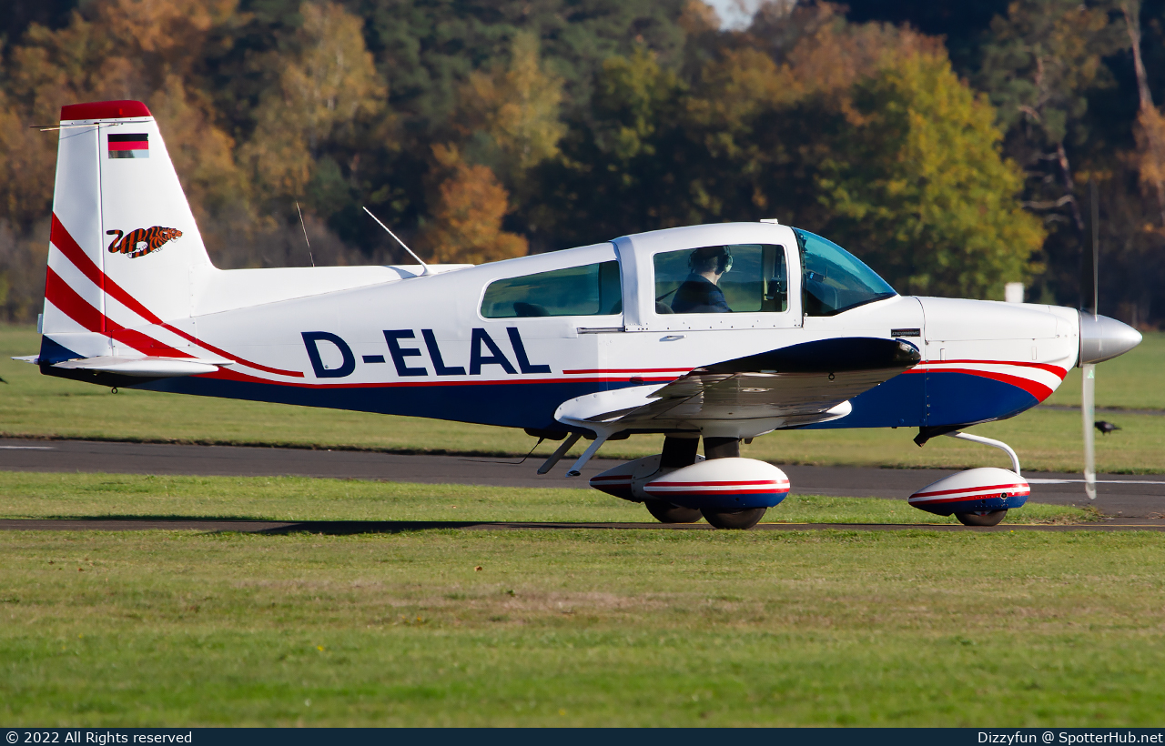 Photo of D-ELAL - American General AG-5B Tiger