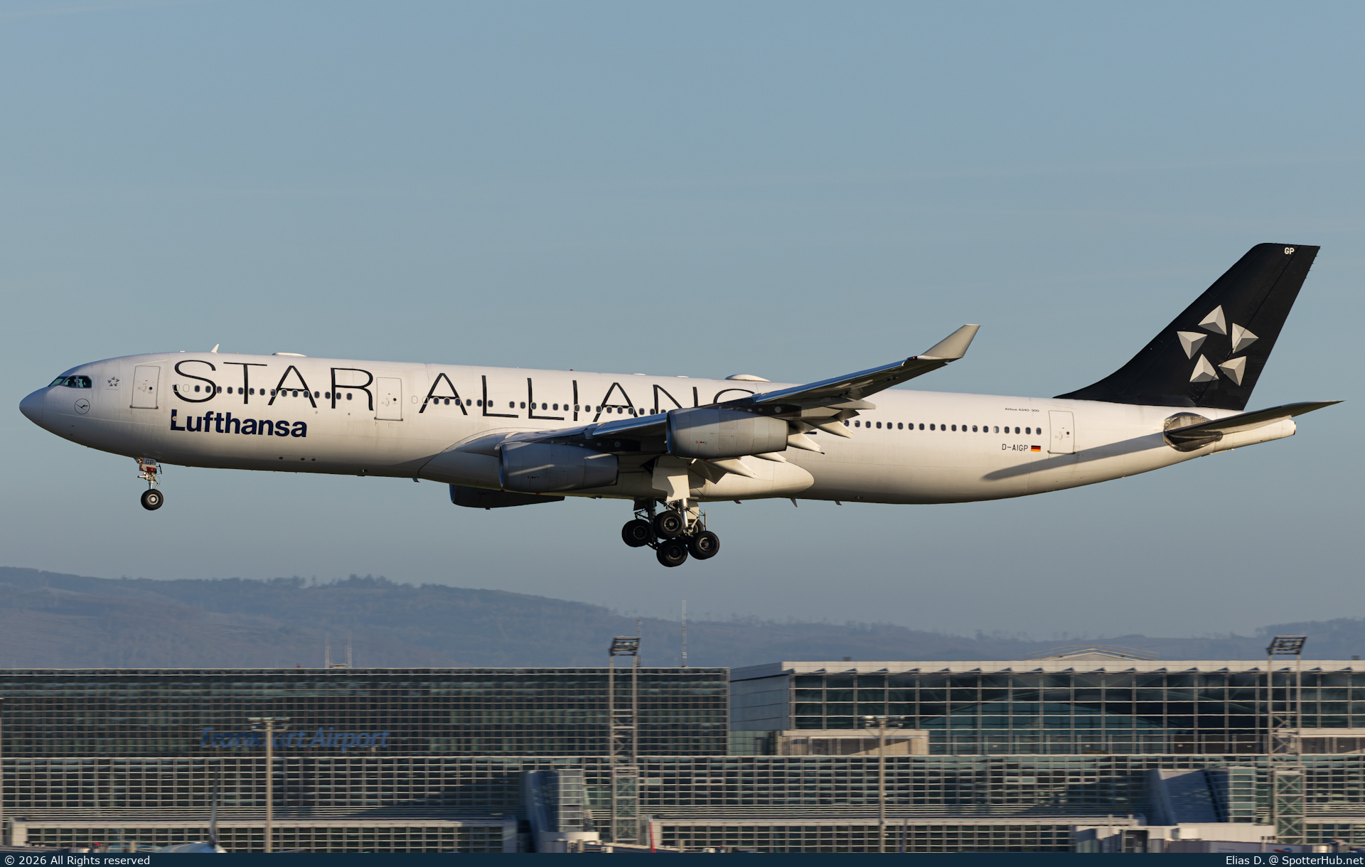 Photo of D-AIGP - Airbus A340-313 operated by Lufthansa