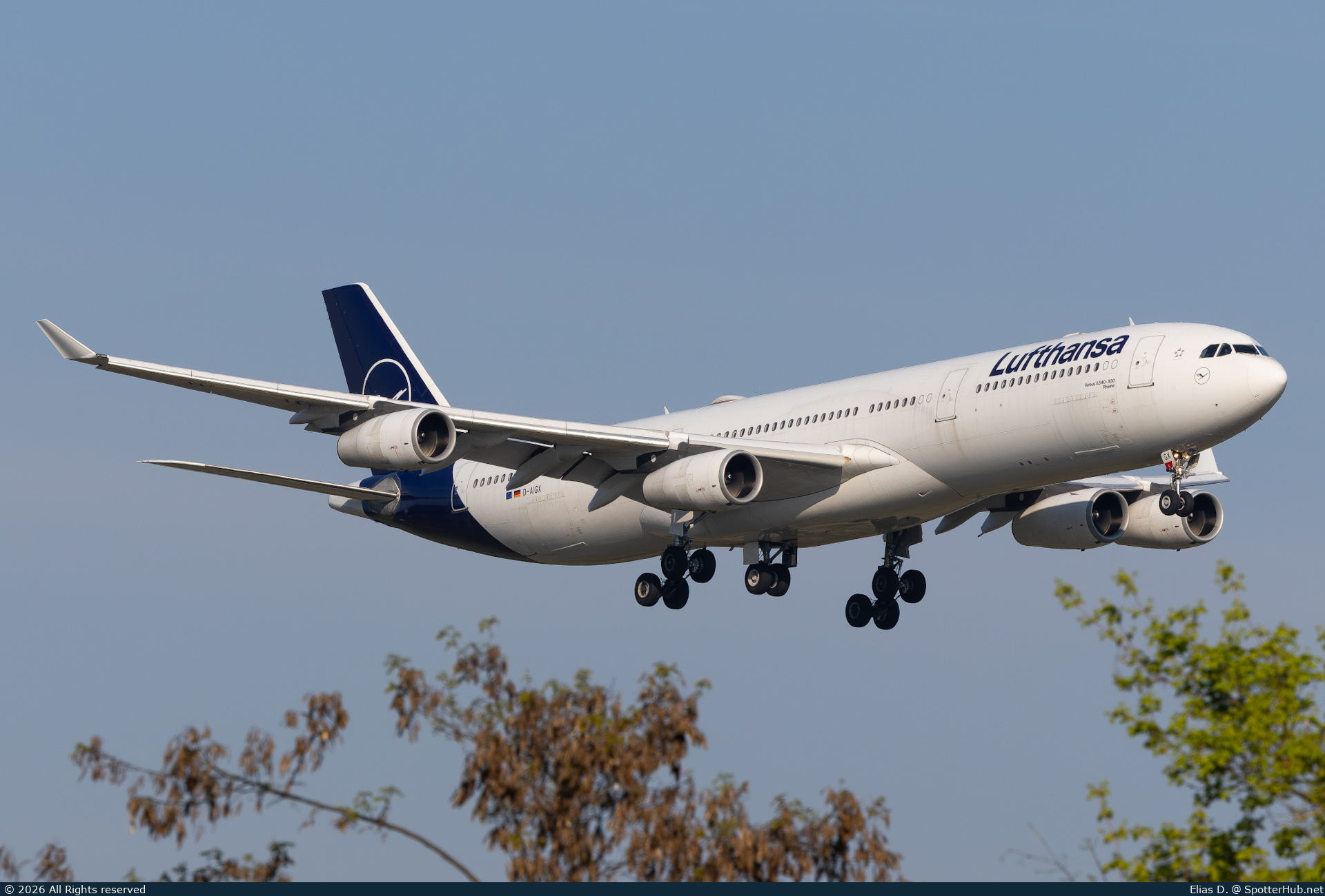 Photo of D-AIGX - Airbus A340-313 operated by Lufthansa