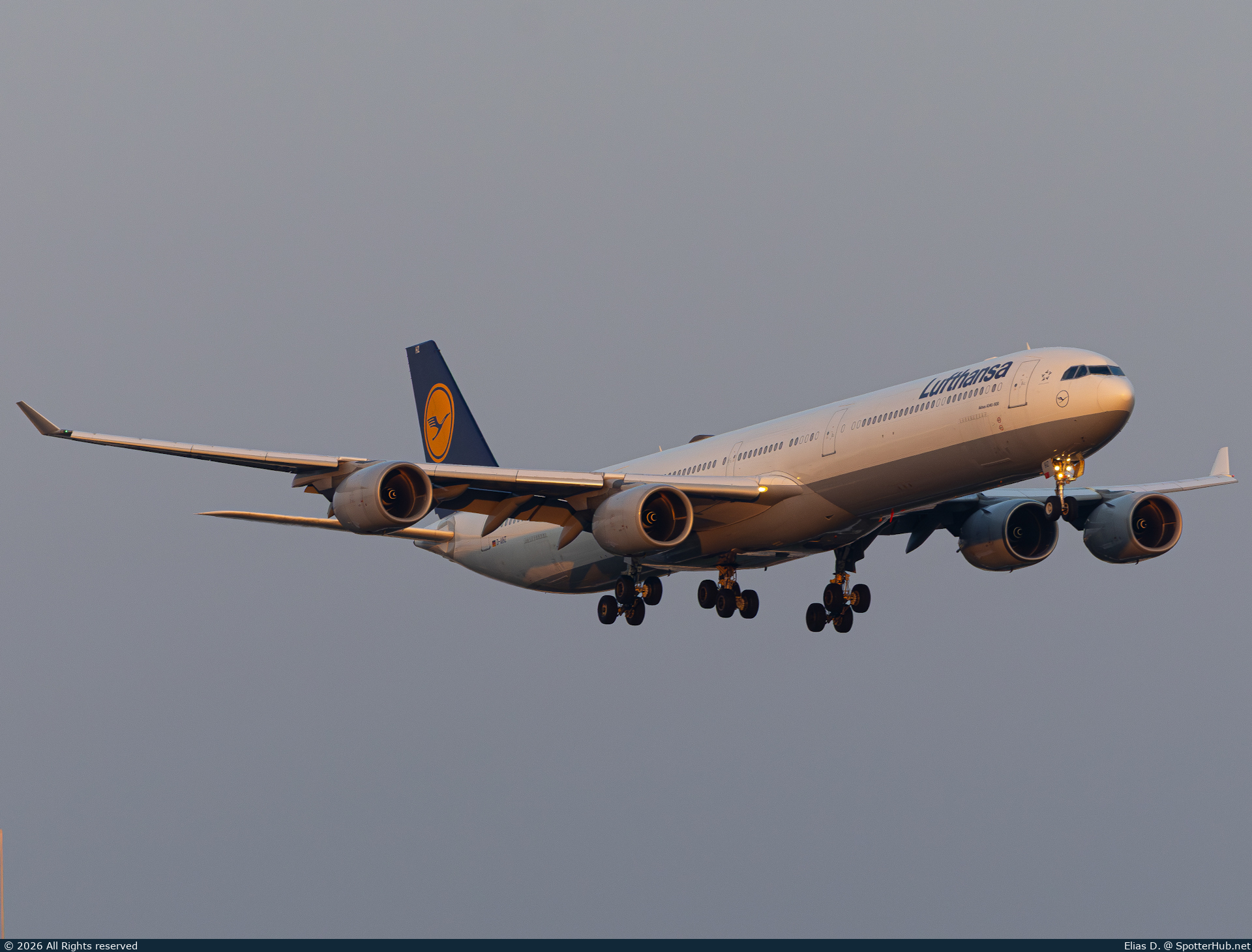 Photo of D-AIHZ - Airbus A340-642 operated by Lufthansa