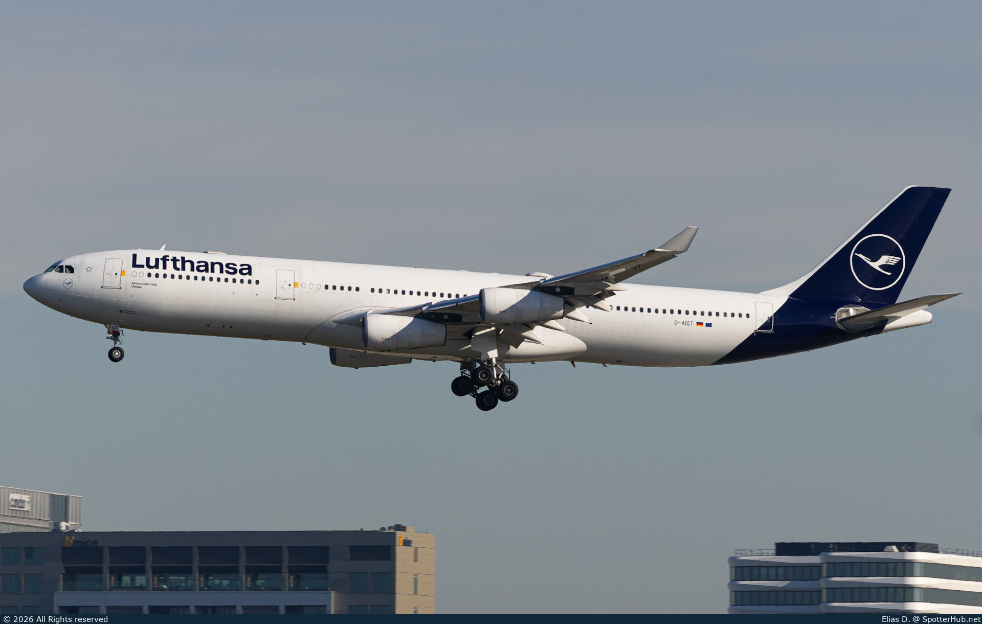 Photo of D-AIGT - Airbus A340-313 operated by Lufthansa