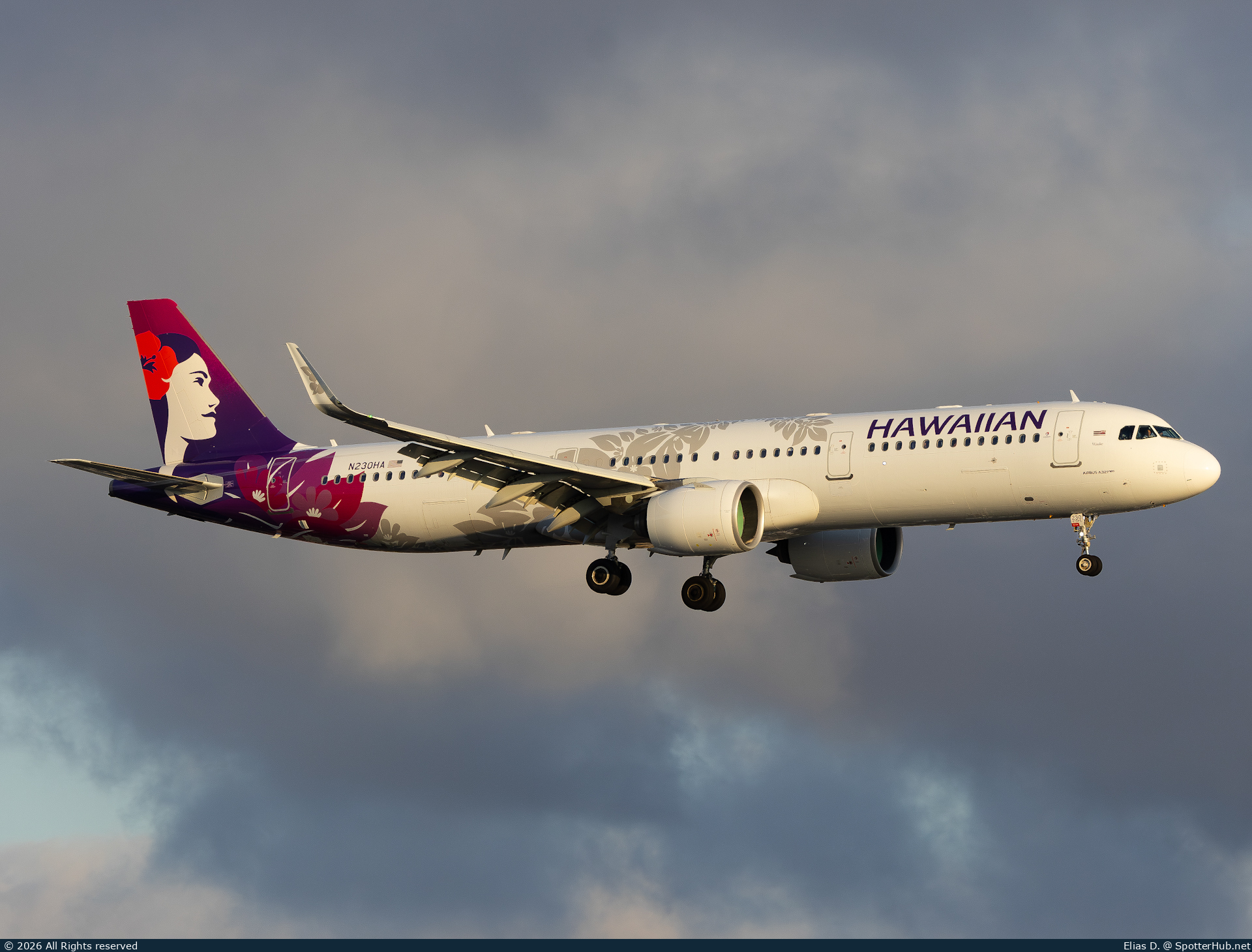 Photo of N230HA - Airbus A321-271N operated by Hawaiian Airlines