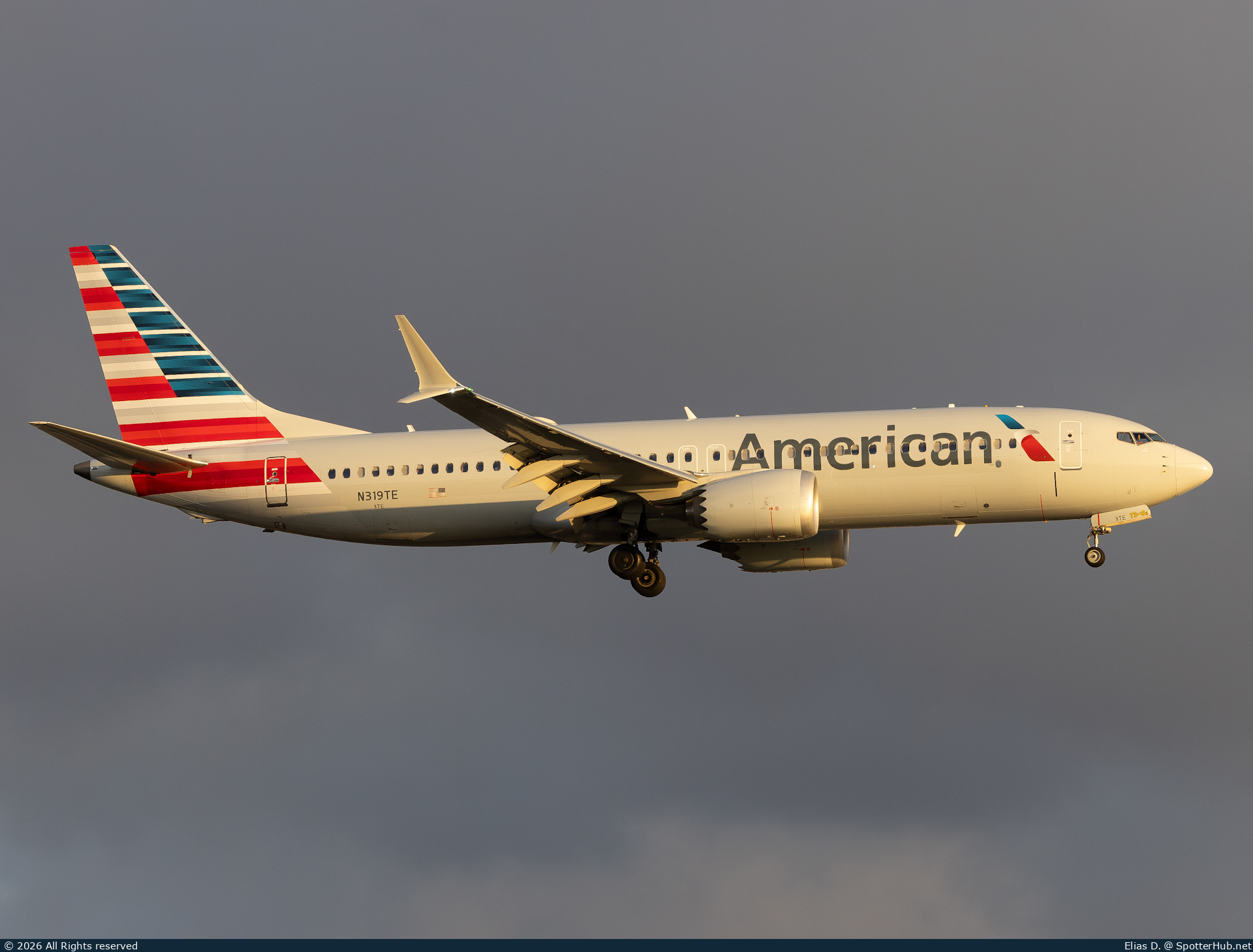 Photo of N319TE - Boeing 737 MAX 8 operated by American Airlines