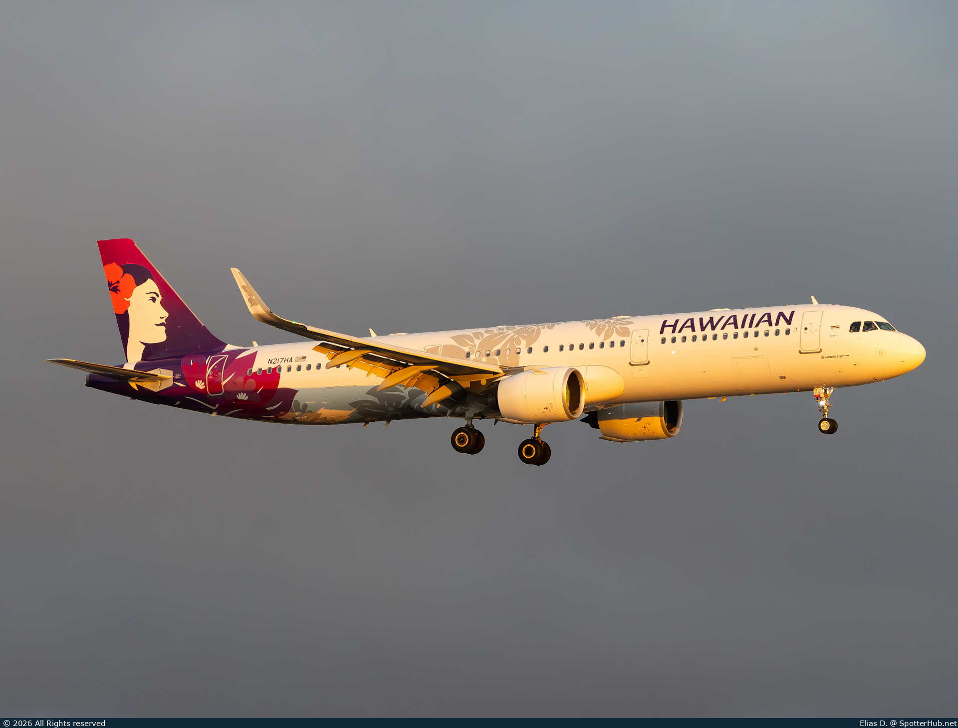 Photo of N217HA - Airbus A321-271N operated by Hawaiian Airlines