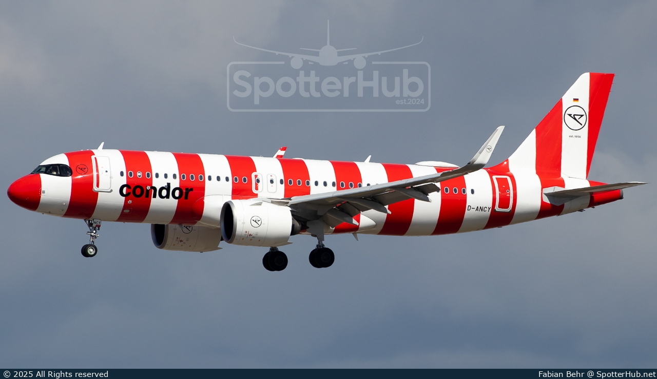 Photo of D-ANCY - Airbus A320-271N operated by Condor
