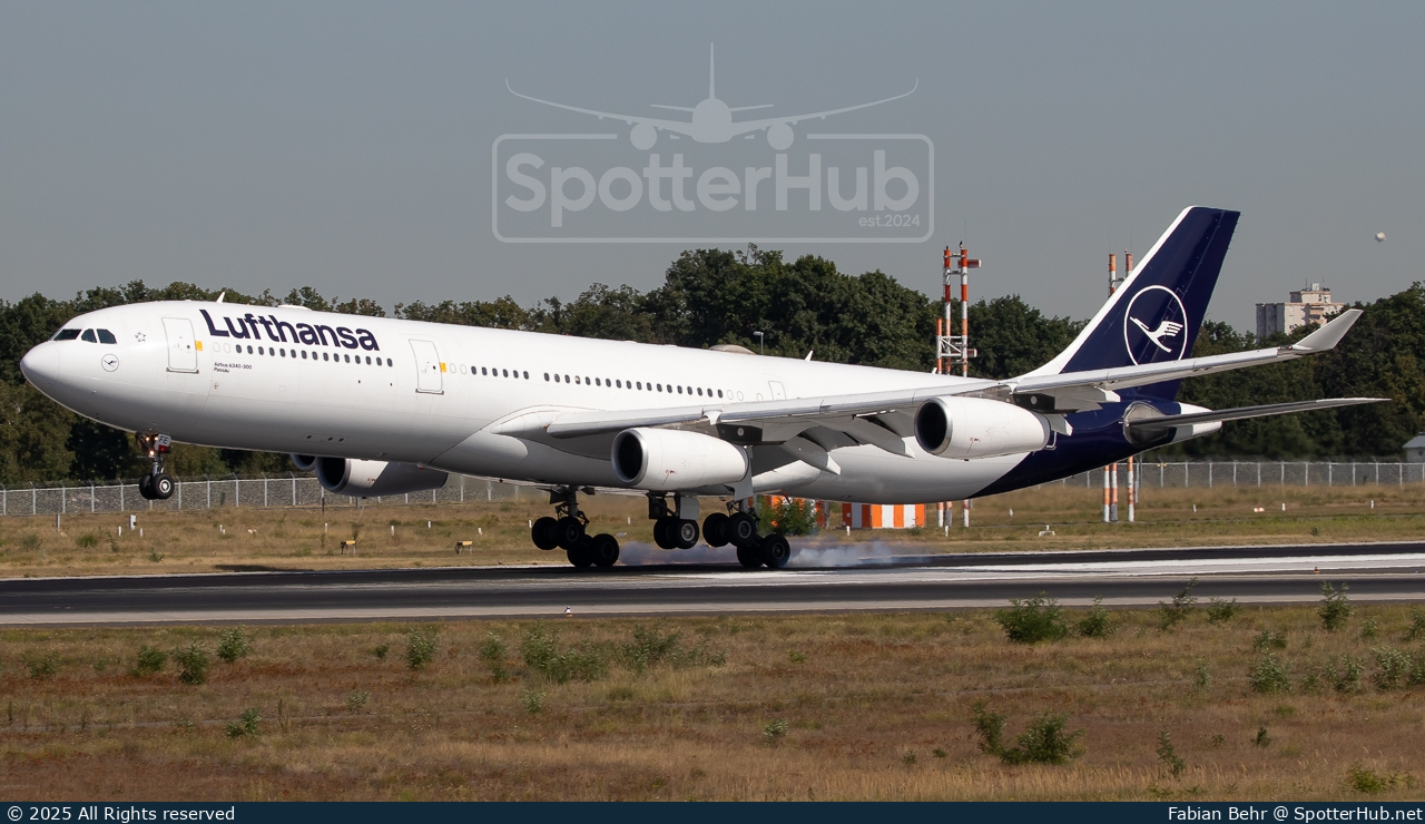 Photo of D-AIFE - Airbus A340-313 operated by Lufthansa