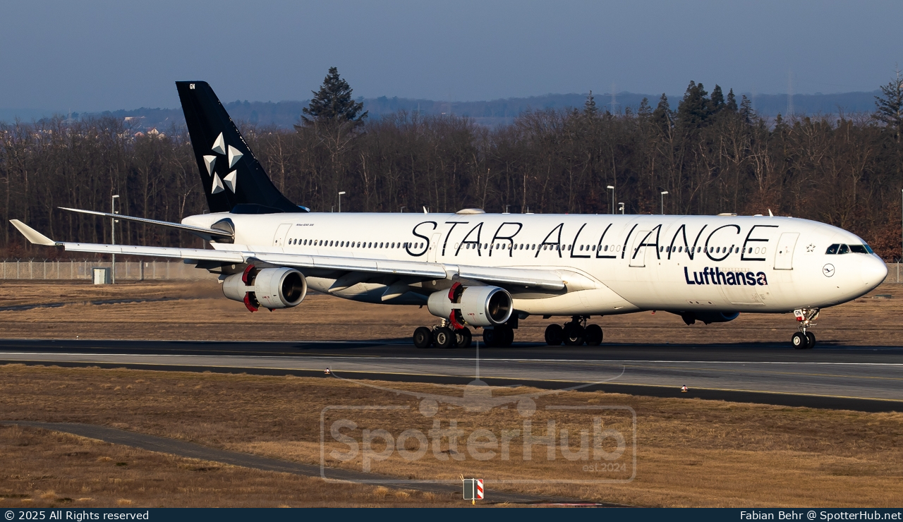 Photo of D-AIGN - Airbus A340-313 operated by Lufthansa