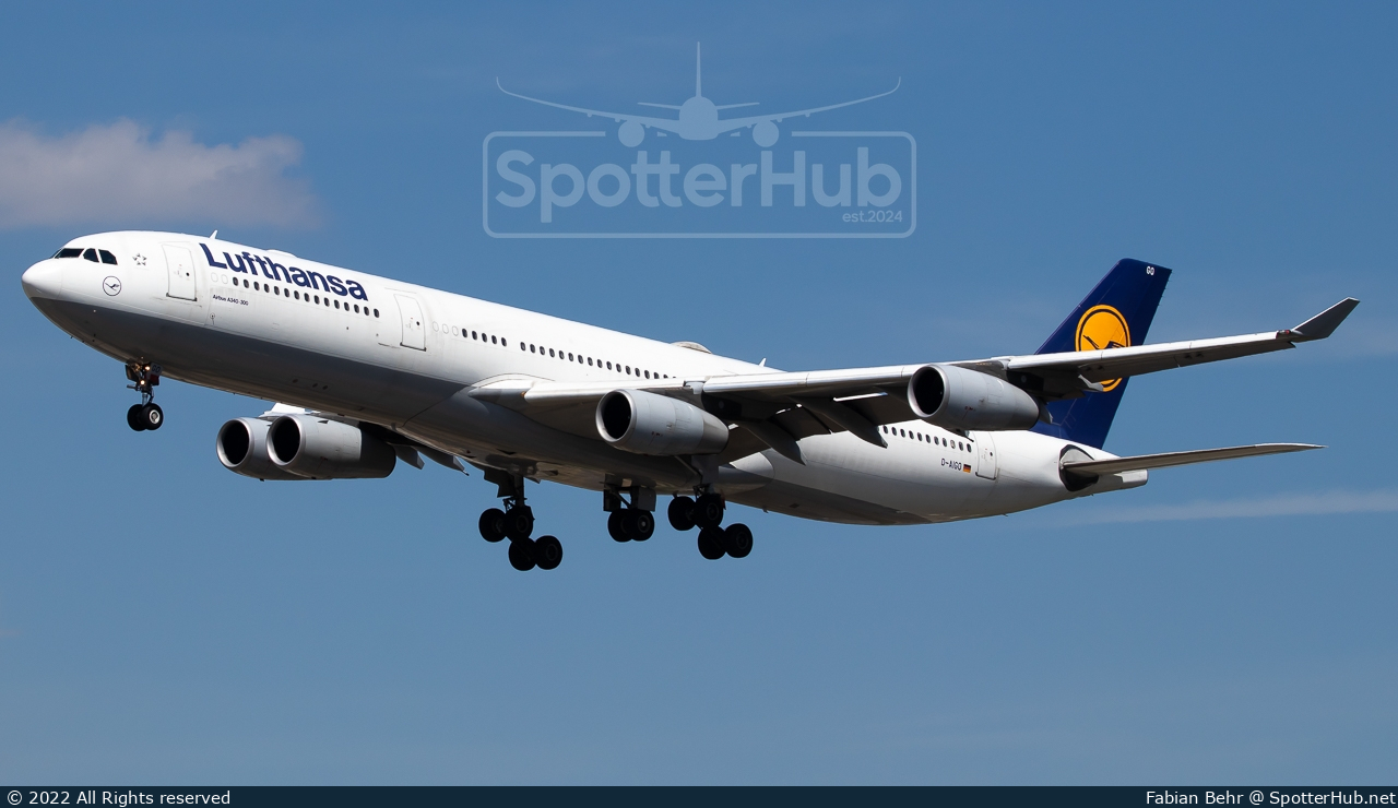 Photo of D-AIGO - Airbus A340-313 operated by Lufthansa