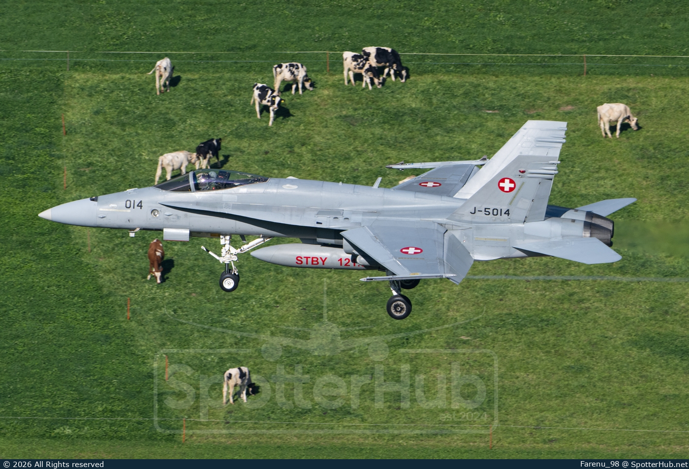 Photo of J-5014 - McDonnell Douglas F/A-18C Hornet operated by Swiss Air Force
