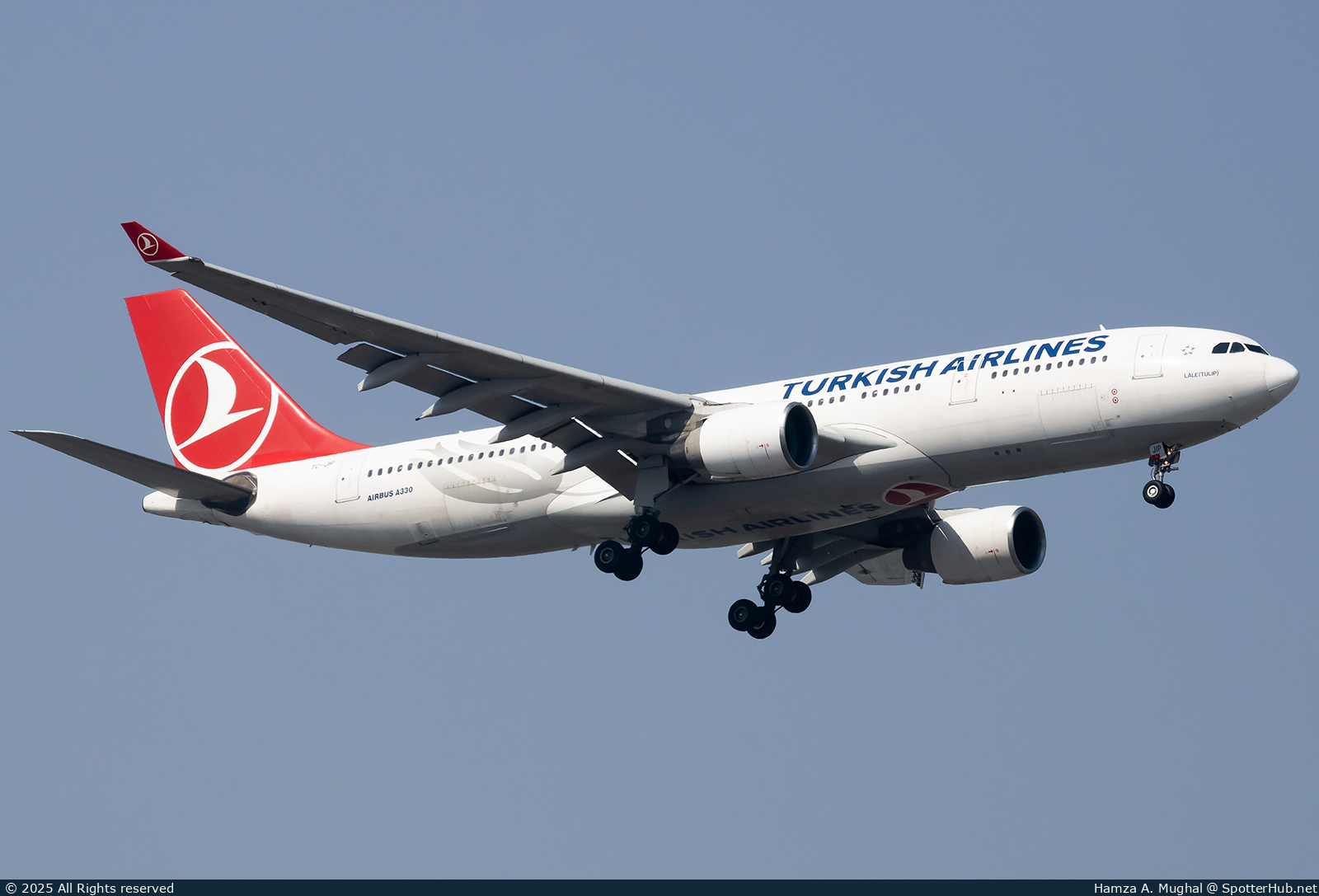Photo of TC-JIP - Airbus A330-223 operated by Turkish Airlines