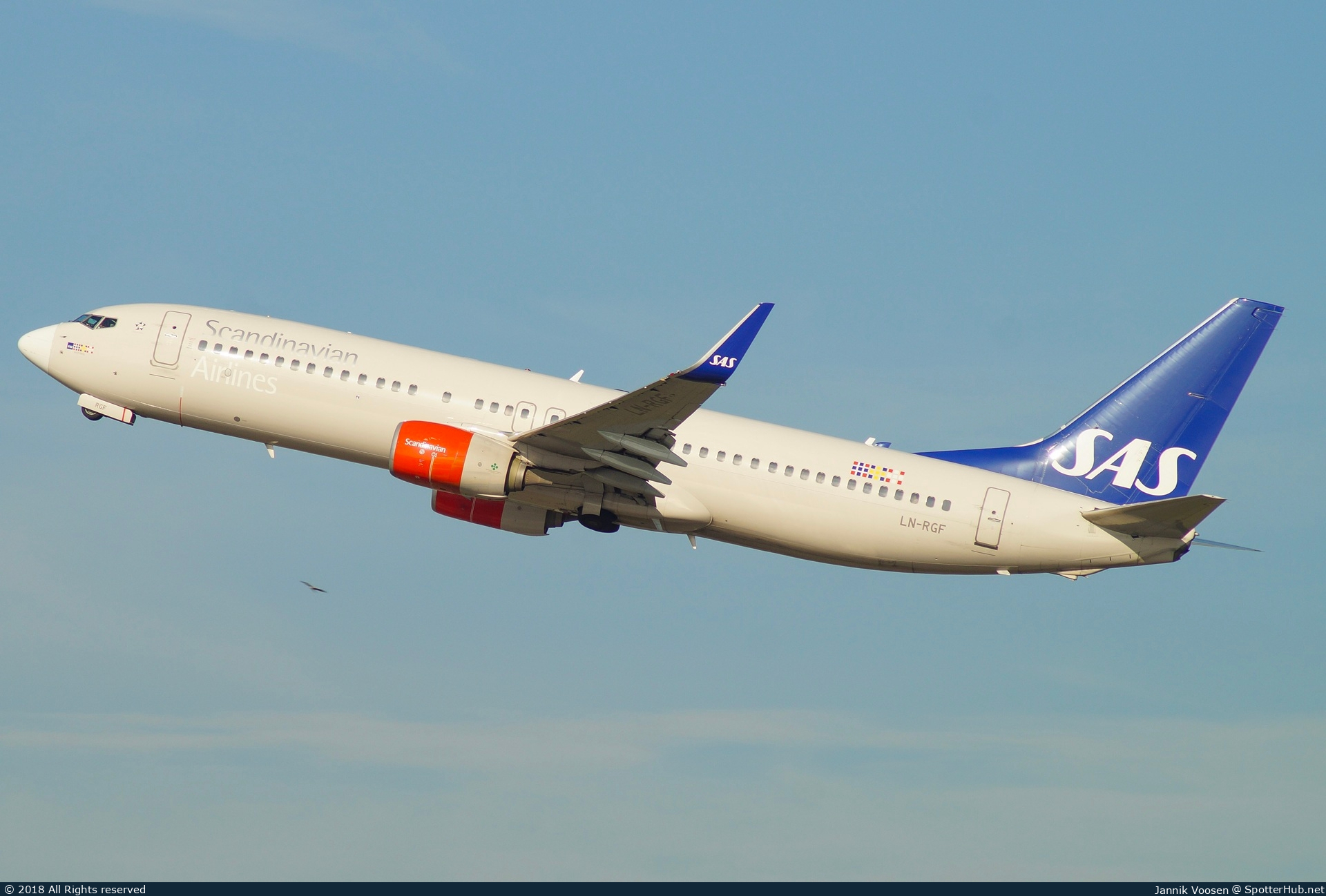 Photo of LN-RGF - Boeing 737-86N operated by SAS Scandinavian Airlines