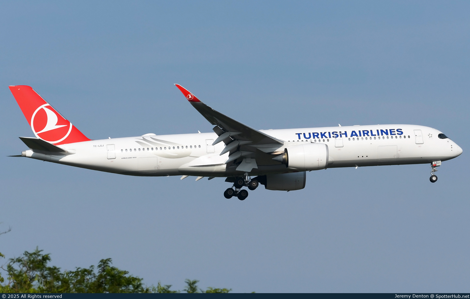 Photo of TC-LGJ - Airbus A350-941 operated by Turkish Airlines