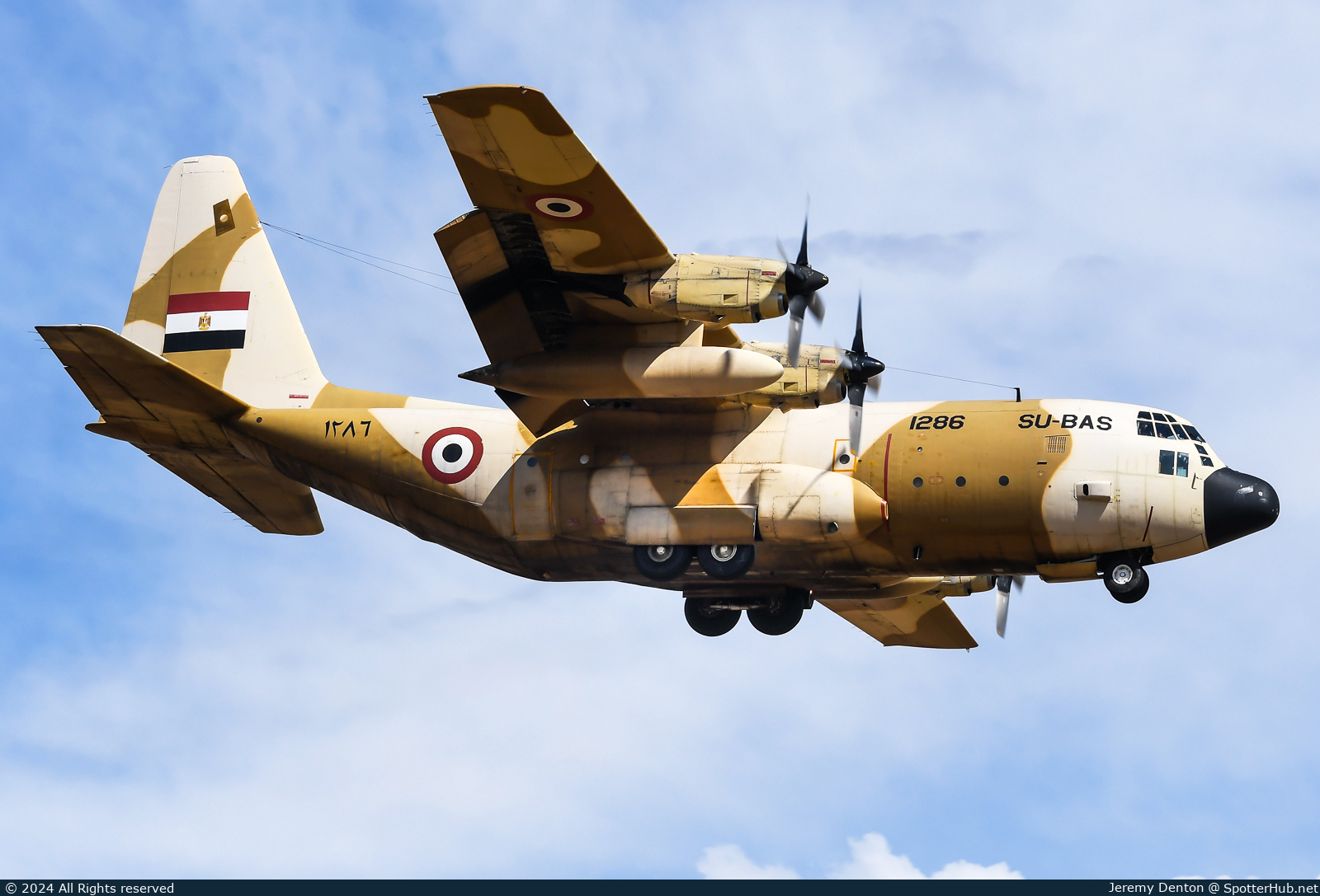 Photo of SU-BAS - Lockheed C-130H Hercules operated by Egyptian Air Force