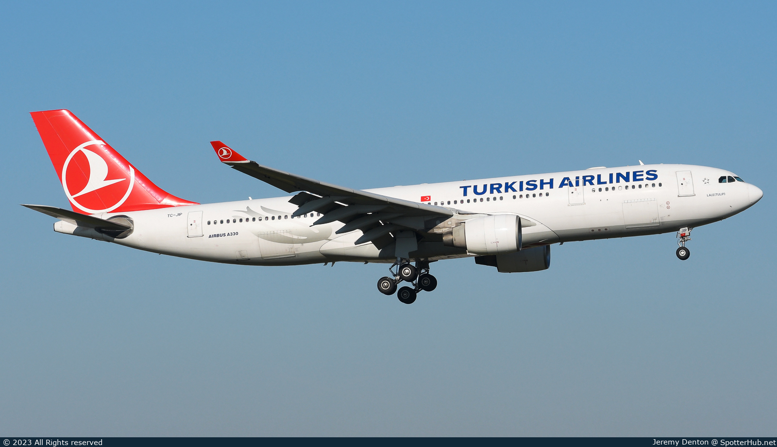 Photo of TC-JIP - Airbus A330-223 operated by Turkish Airlines