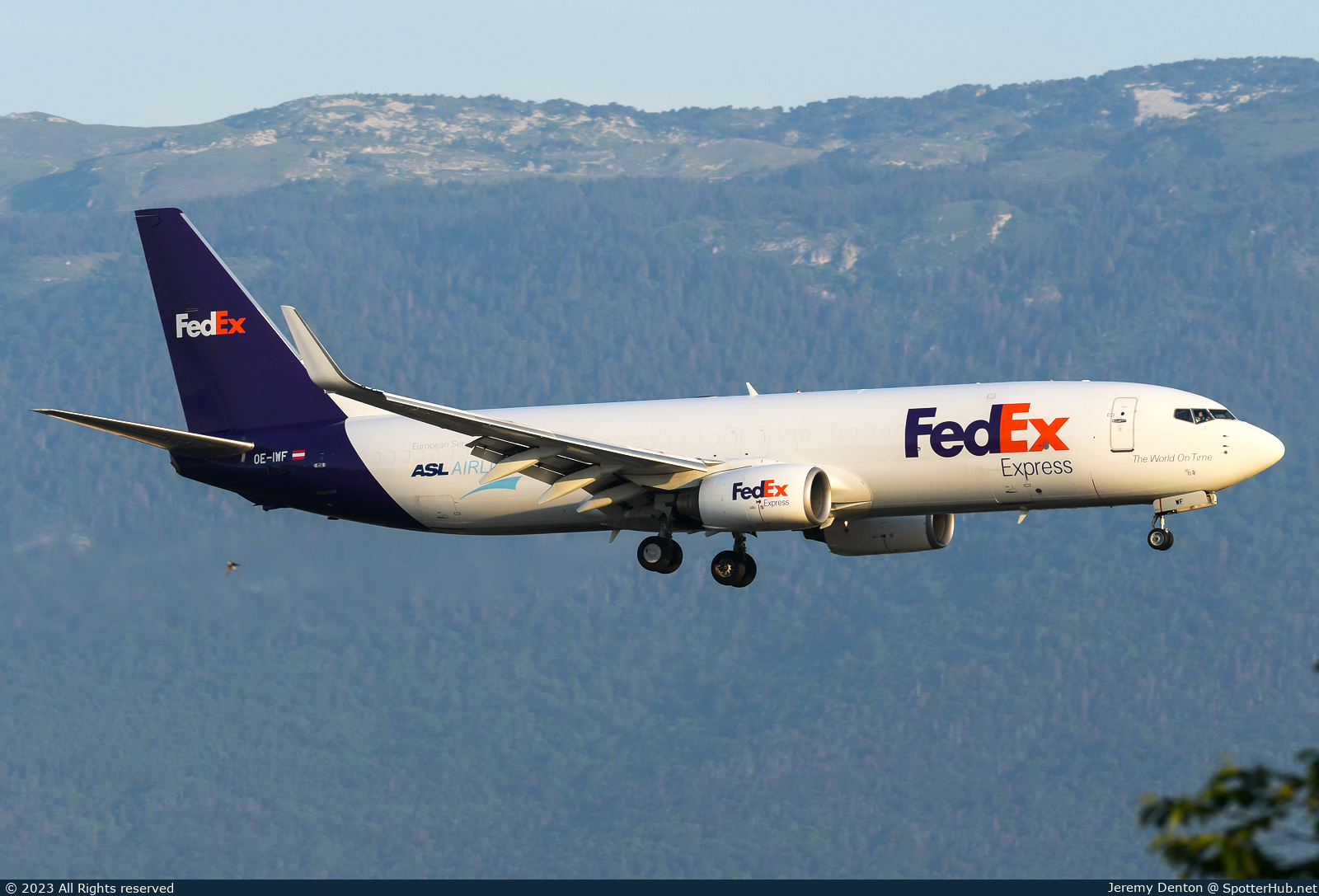 Photo of OE-IWF - Boeing 737-8AS(BCF) operated by FedEx (opb ASL Airlines Belgium)