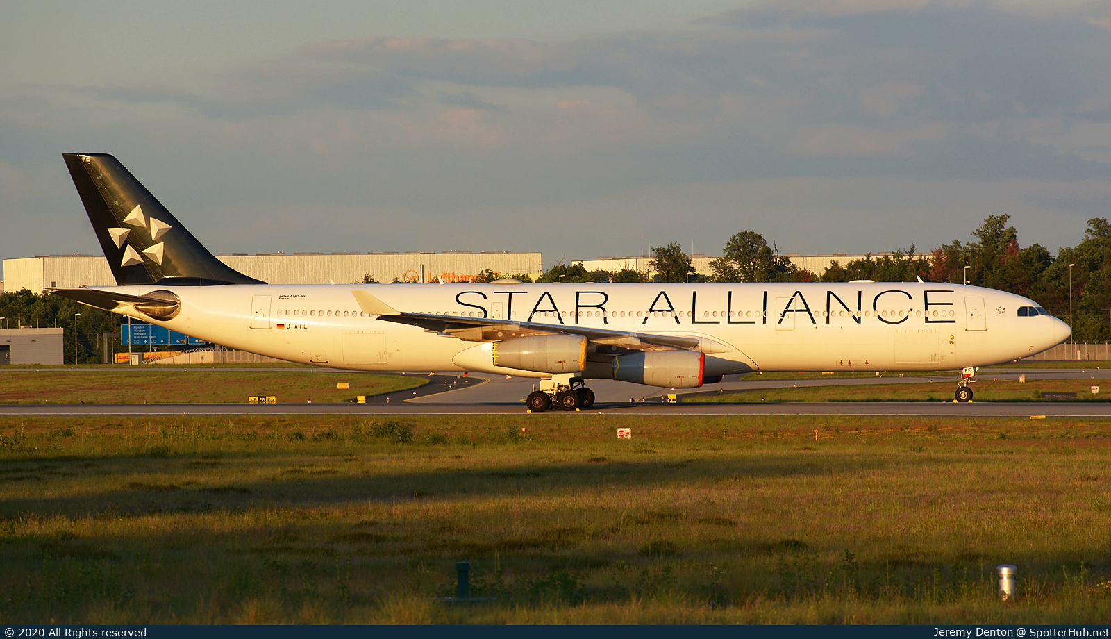 Photo of D-AIFE - Airbus A340-313 operated by Lufthansa CityLine