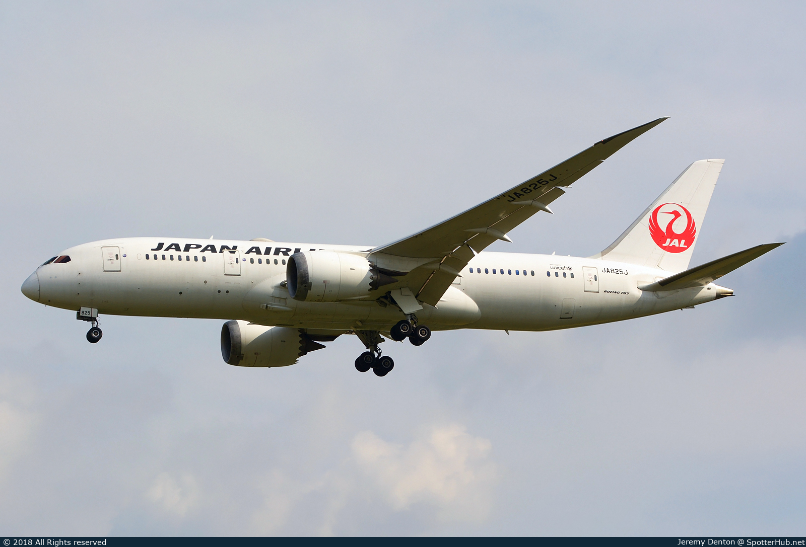 Photo of JA825J - Boeing 787-8 Dreamliner operated by Japan Airlines