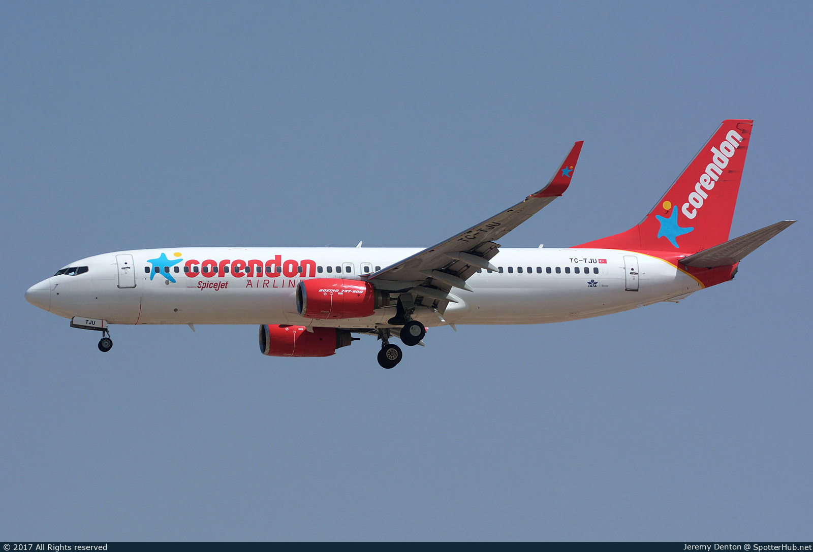 Photo of TC-TJU - Boeing 737-8HX operated by SpiceJet (opb Corendon Airlines)