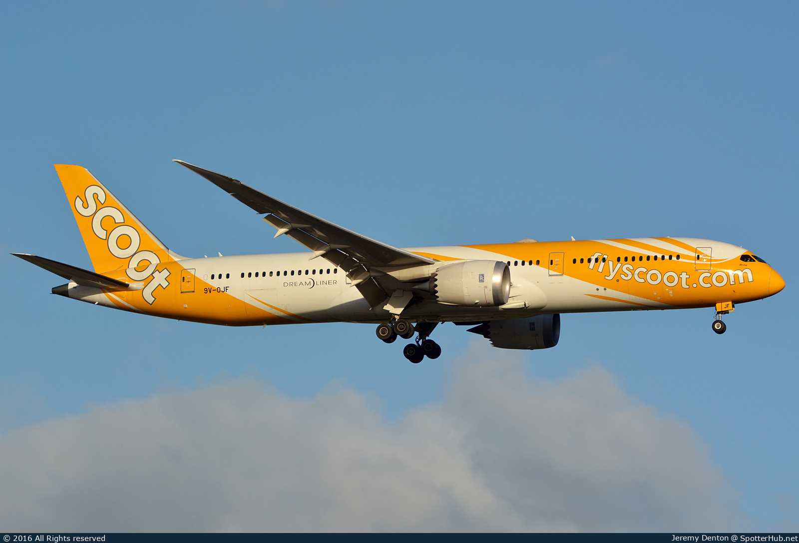 Photo of 9V-OJF - Boeing 787-9 Dreamliner operated by Scoot